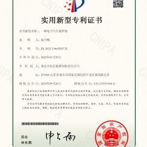 202320645597X一種電子汽車(chē)衡稱(chēng)體